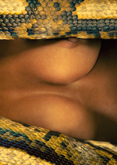 tumblr_m65cjugett1qbsg6oo1_400.jpg