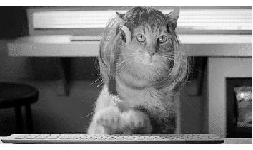 catwigtyping.gif