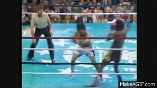 5HFUkR.gif