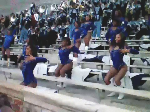 JSettes-2008SWACChamp.gif