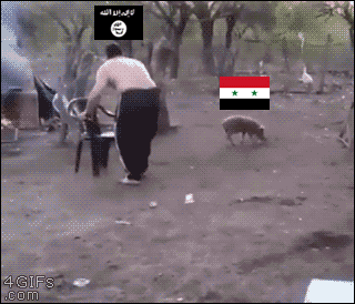 ISIS-vs-Assad-Russia-responds-France-bystander.gif