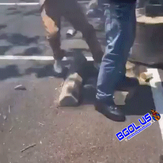 uTiO8F.gif