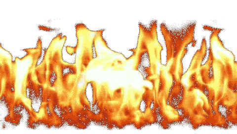 giphy.gif