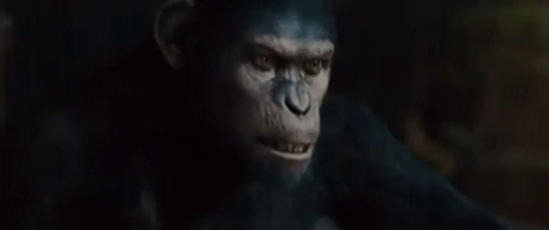 caesar-planet-of-the-apes.gif