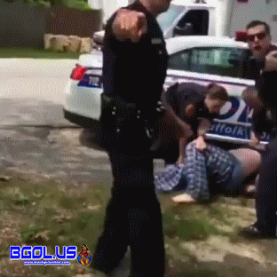fail1.gif