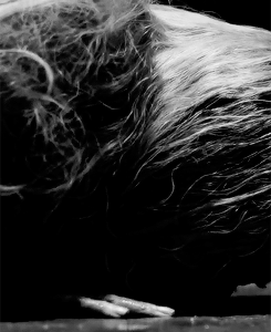 tumblr_np9jfm1yxF1tlicqeo4_250.gif