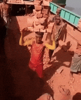 giphy-downsized-large.gif