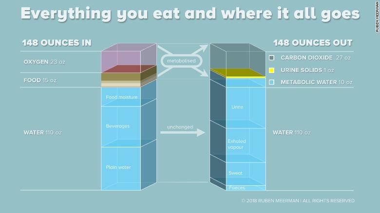 180319132437-what-america-eats-graphic-exlarge-169.jpg
