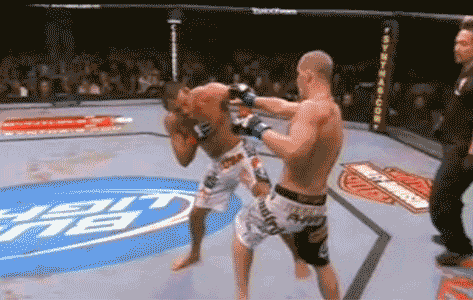 81847955.gif