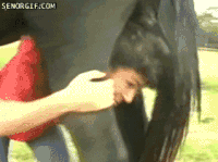 87df45bd729b098ea332b902dad57170_w200.gif