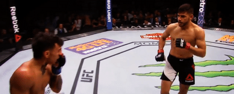 tumblr_p4rdkklIwH1v6w3juo2_500.gifv