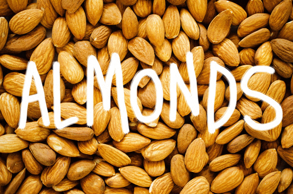 Almonds.gif