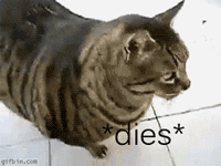 u0o.gif