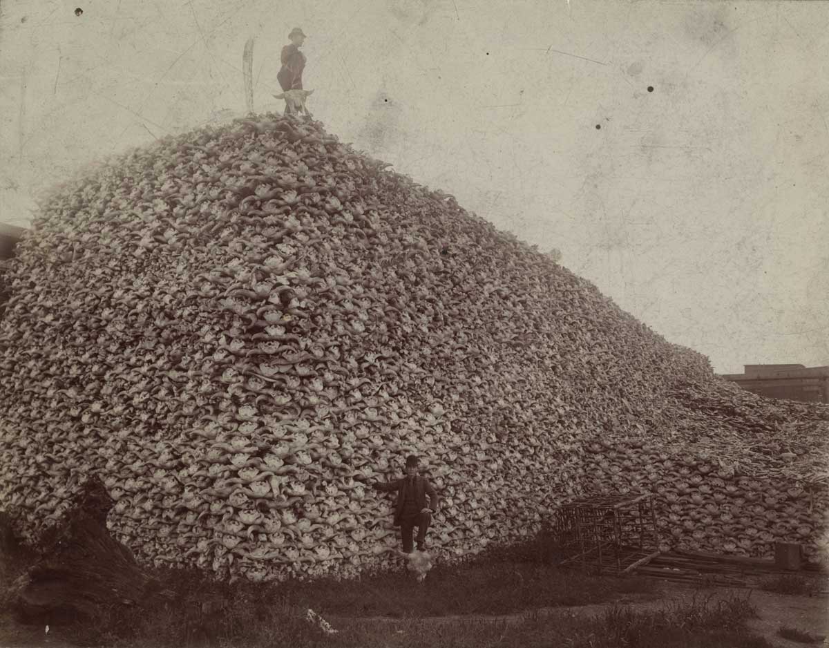 bigbonepile.jpg