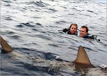 open_water__1129298616_0144-1.jpg