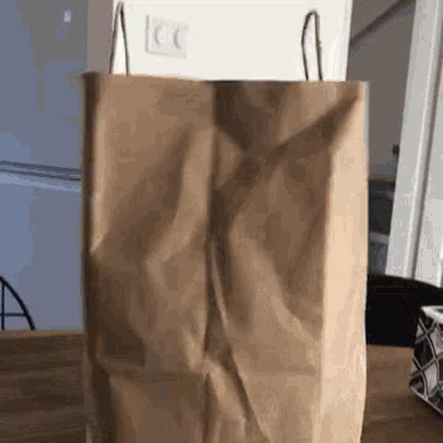 brownbag-bag.gif