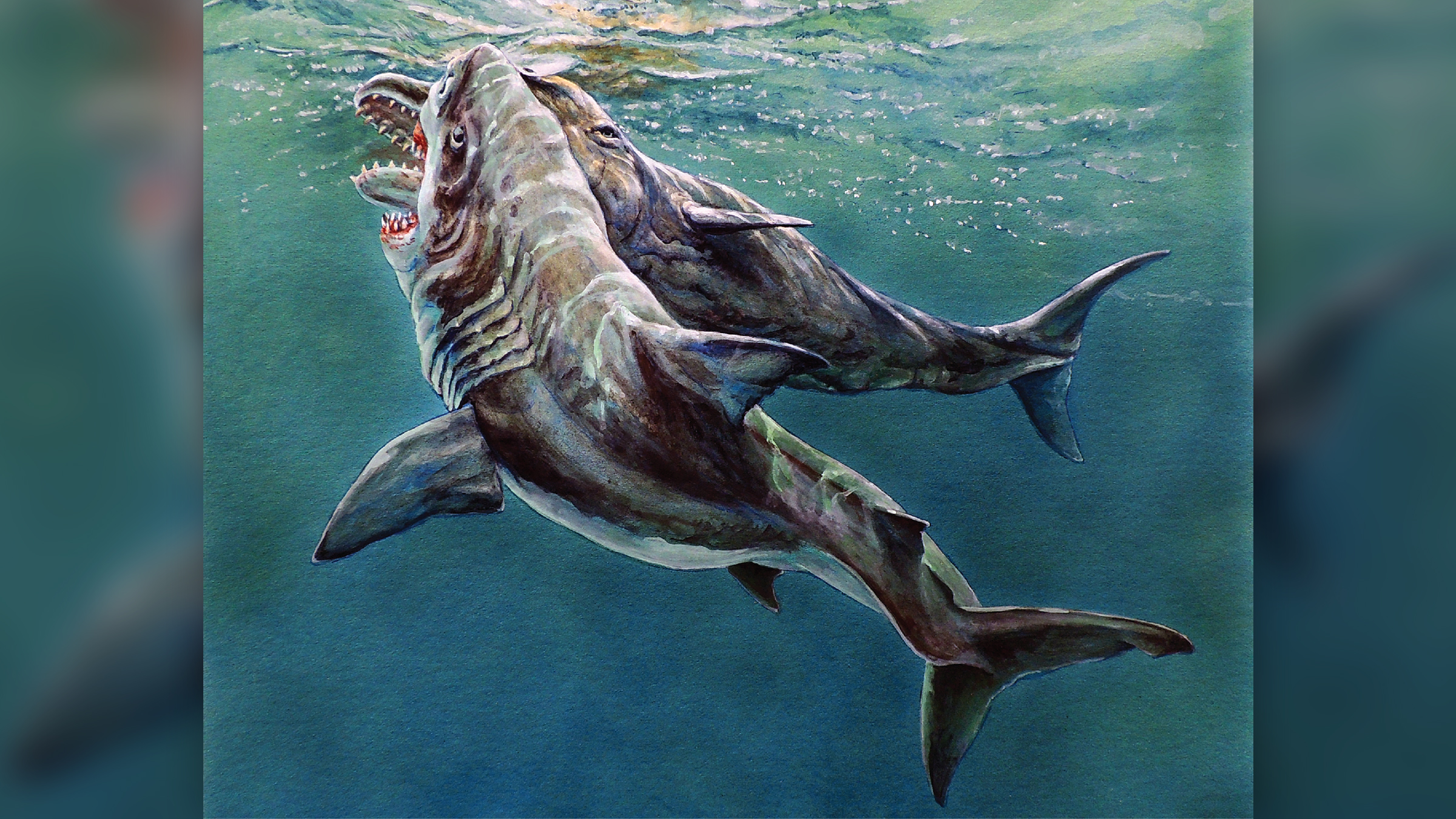 www.livescience.com