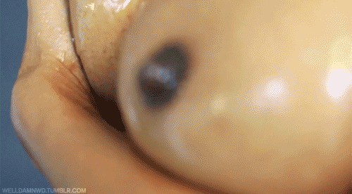 tumblr_n4pcg8aJ9d1qh0617o2_500.gif