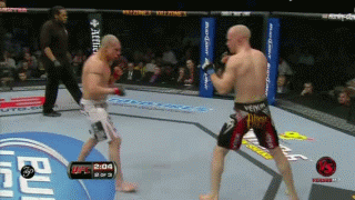 5.gif