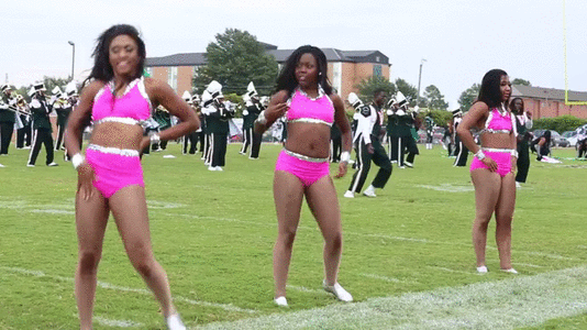 Satin_Dolls_Performance_at_MVSU_1.gif