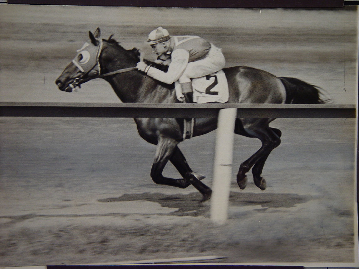 seabiscuit.jpg
