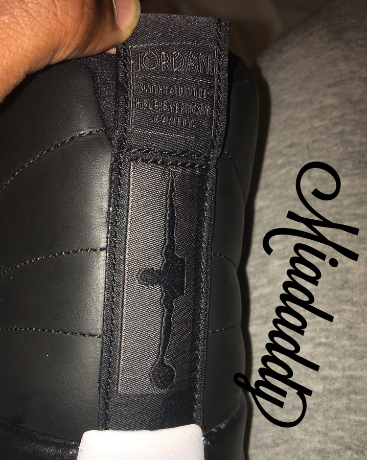 wings-air-jordan-12-back-heel.png