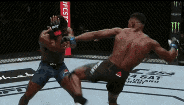 joaquin-buckley-ufc.gif