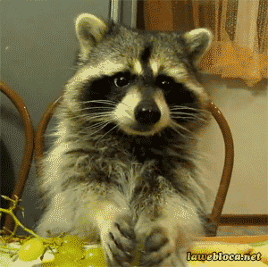 6a39df34bf7b9c84516a6dac75892e10.gif