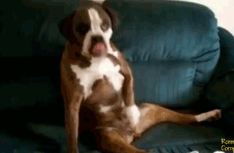 4Crp.gif