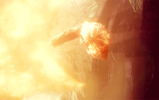 tumblr_pc4aeeyyg81r2y3kjo2_540.gif