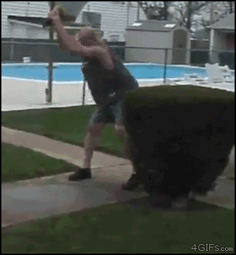 Mentos_rocket.gif