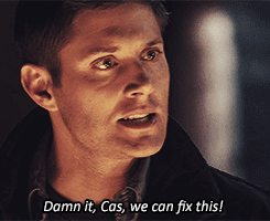 tumblr_mguinsrNb41qgzb2io2_r1_250.gif