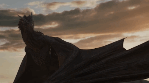 tumblr_ouno6aAIKr1qkv7f9o1_r1_500.gif