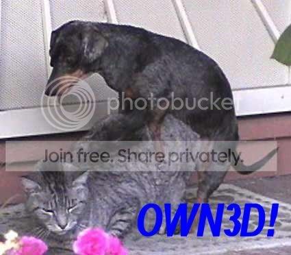 Owned-ByADog-2-1.jpg