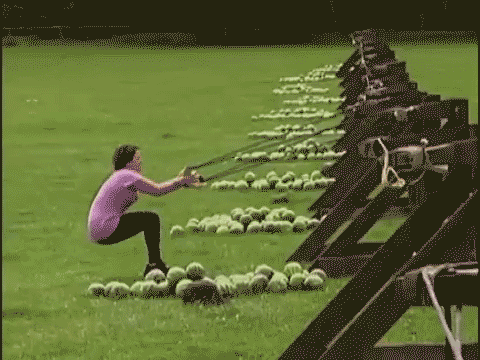22131.gif