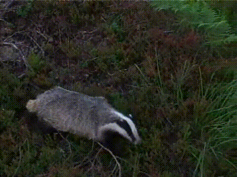 oh-shi_zps1bedf381.gif
