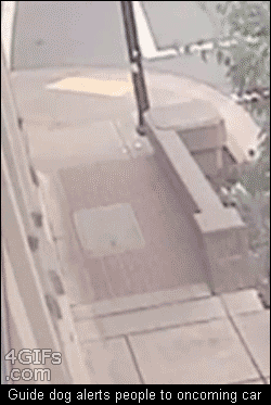 tumblr_mogws7LyV31qdlh1io1_250.gif