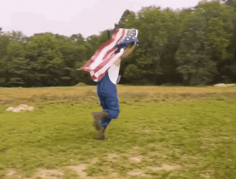 giphy.gif