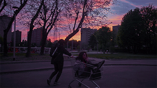 tumblr_o5m9fjrI2f1qj5oxwo1_500.gif