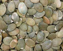 pumpkin-seeds.jpg