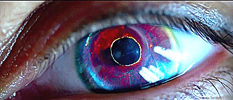 tumblr_n8w86c7QEG1sy99vyo2_400.gif