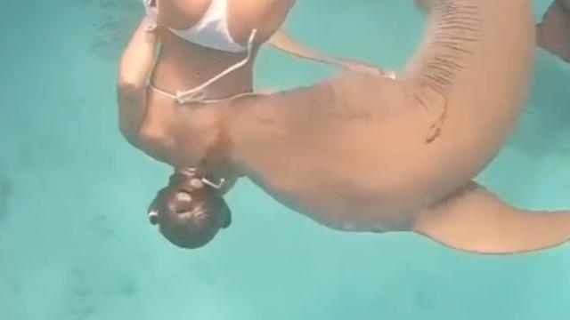 worldstar.com