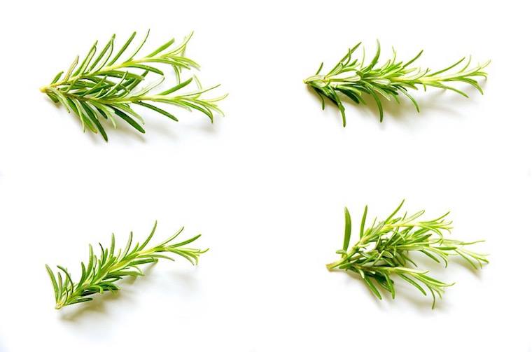 essential-oil-rosemary.jpg