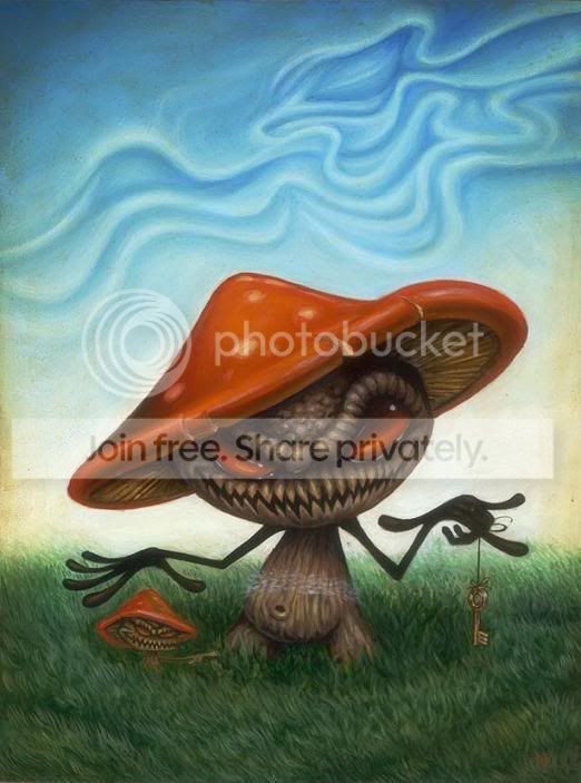 shrooms.jpg