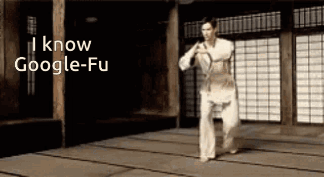 google-fu-keanu.gif
