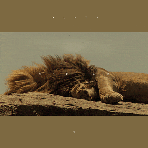 tumblr_nerwlb92ZR1qg39ewo1_500.gif