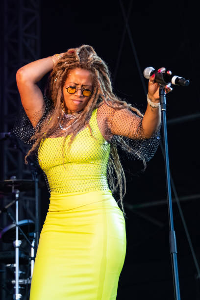 kelis-performs-at-the-mighty-hoopla-festival-2023-at-brockwell-park-on-june-03-2023-in-london.jpg