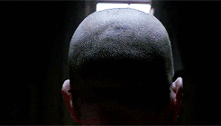 tumblr_mtk9paKGQ11r84zejo5_250.gif