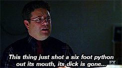 tumblr_n9tdduXdHG1r0b2hgo5_250.gif