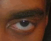 pikeeyebear2.gif